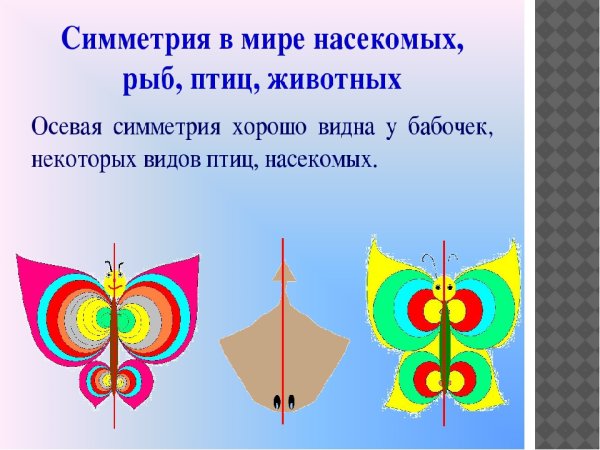 Осевая симметрия чертеж