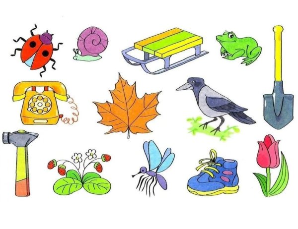 Раскраска предметы для детей