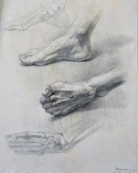 Антон Мелентьев художник учебный рисунок