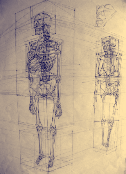 Аналитический рисунок человека