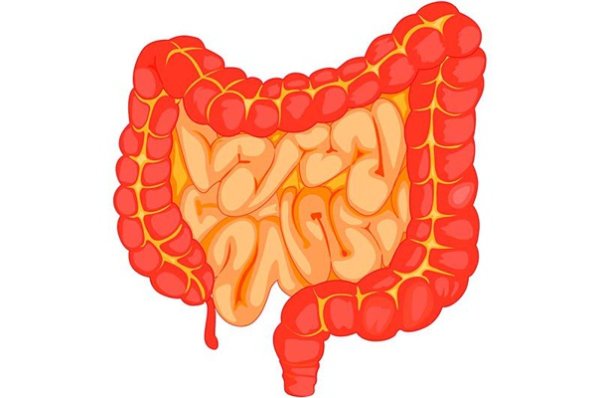 Кишечник мультяшный
