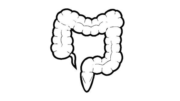 Микрофлора кишечника