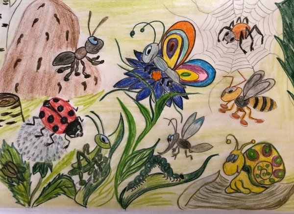 Тематика для рисунков