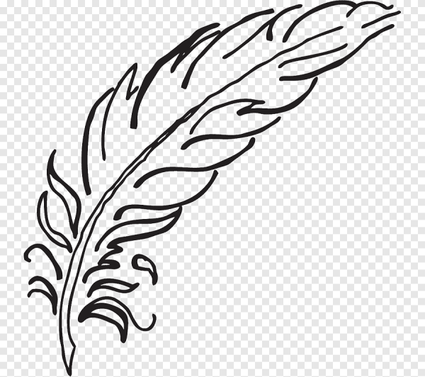 Перо раскраска для детей