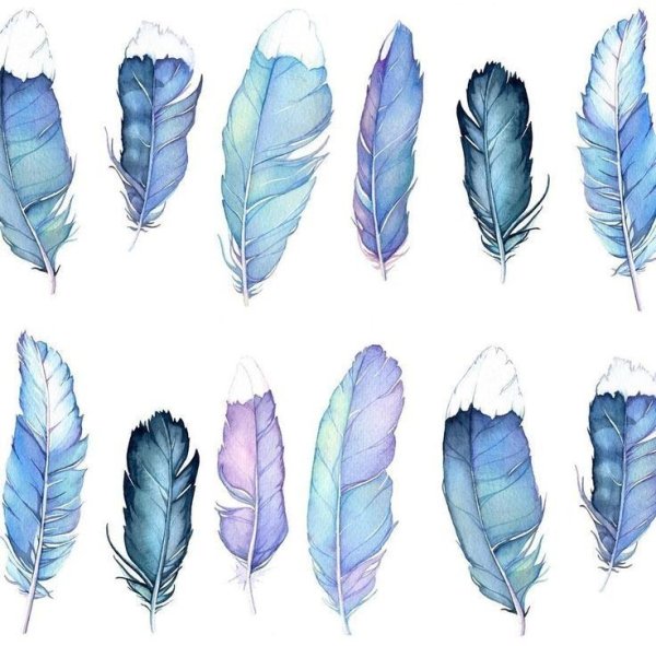 Перо акварель