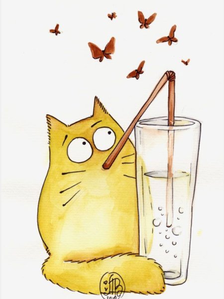 Смешные коты Марии Ван Брюгген