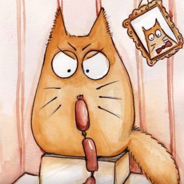 Смешной кот рисунок