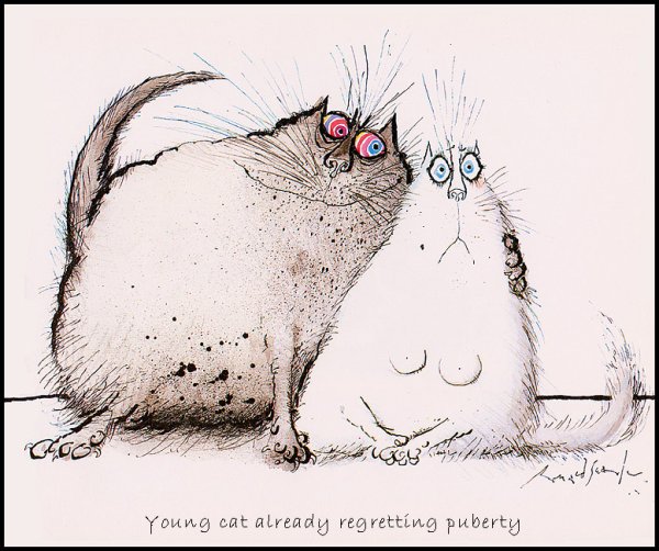 Прикольные рисунки