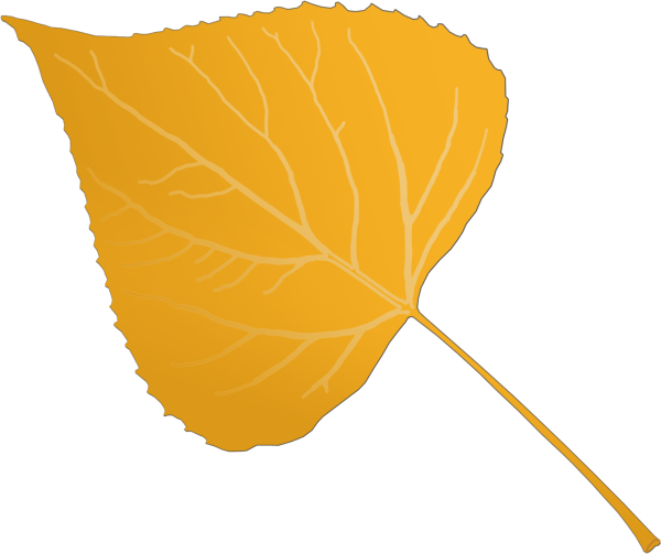 Береза ветка с листьями