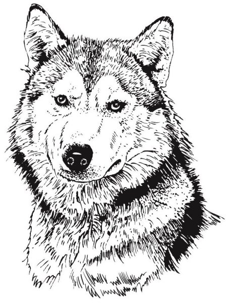 Десятое королевство набор для выжигания 01722