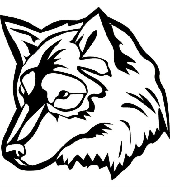 Раскраски для мальчиков волк