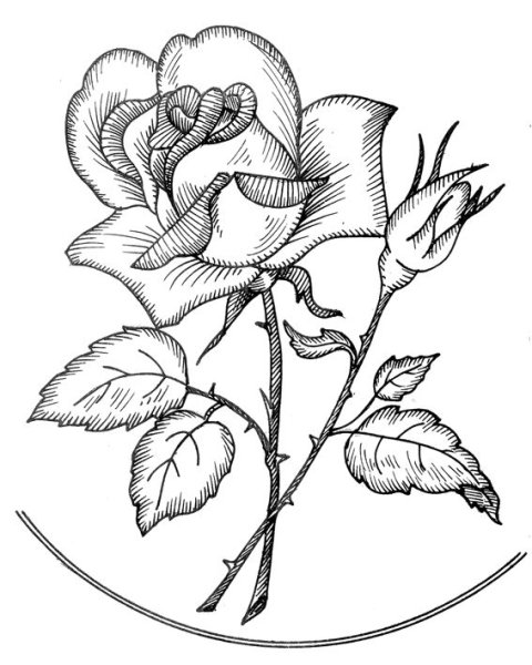 Эскизы рисунков для выжигания