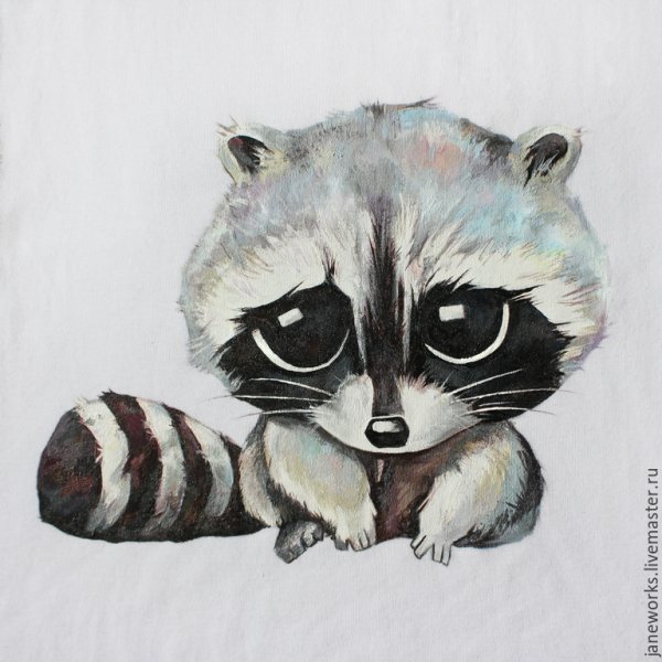 Енот рисунок