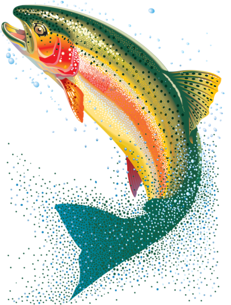 Микижа Радужная форель