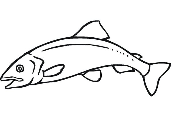Раскраска горбуша