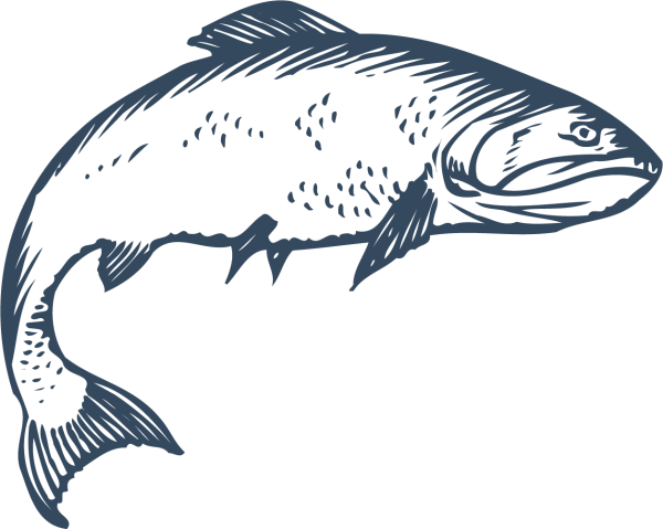 Векторное изображение рыбы