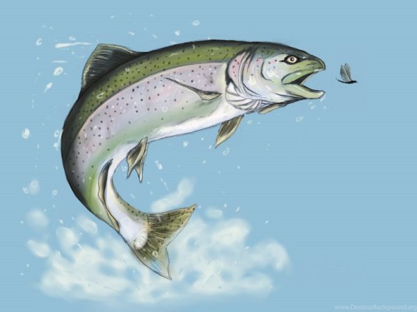 Лосось нарисованный