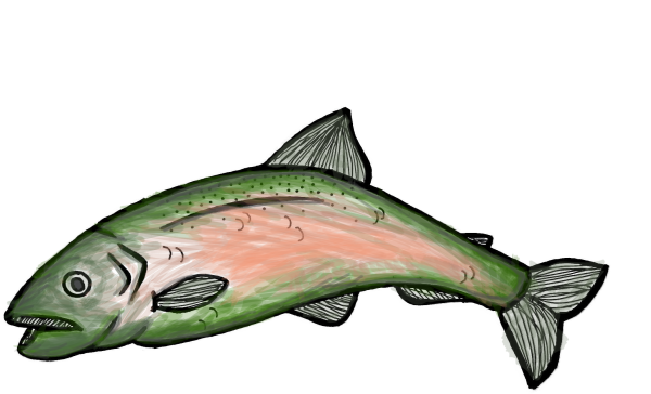 Лосось нарисованный