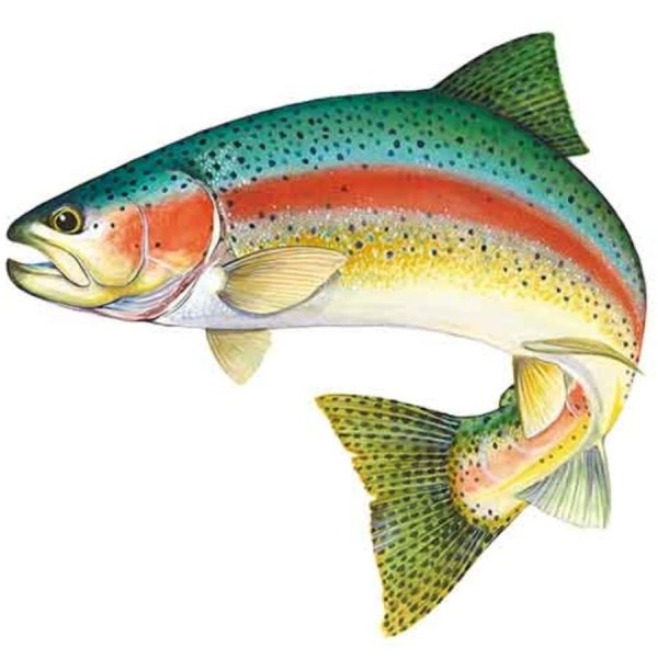 Лосось мультяшный