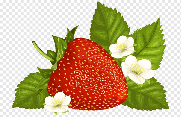 Земляника клипарт на прозрачном фоне
