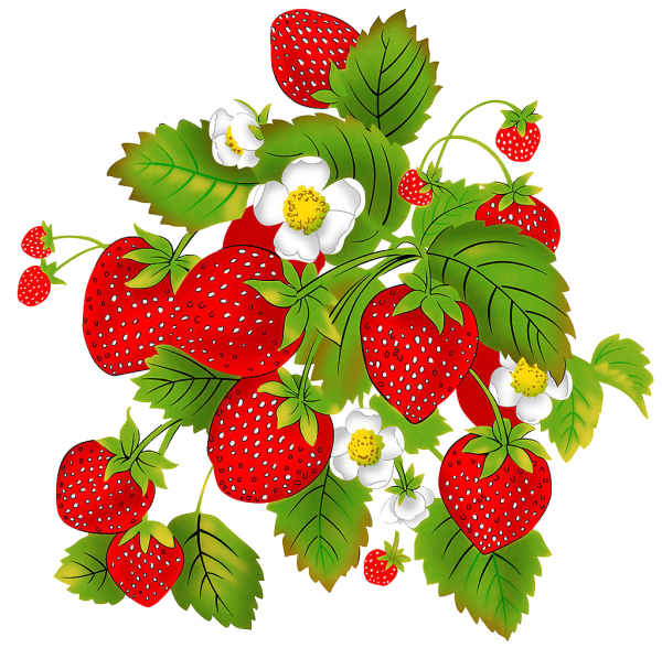 Ягоды картинки для детей