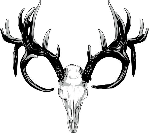 Формы Рогов референс