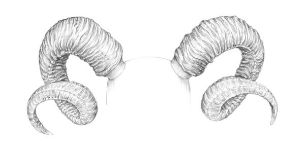 Маска оленя