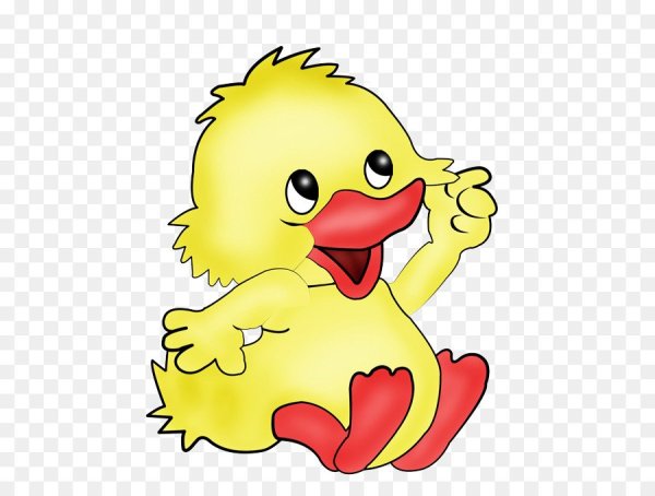 Утята для детей