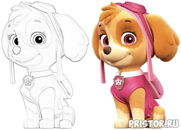 Скай Щенячий патруль рисунок