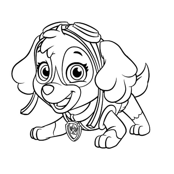 Щенячий патруль азукраска Скай