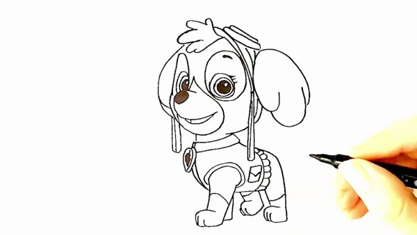 Щенячий патруль Скай срисовать