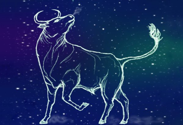 Созвездие Taurus - Телец