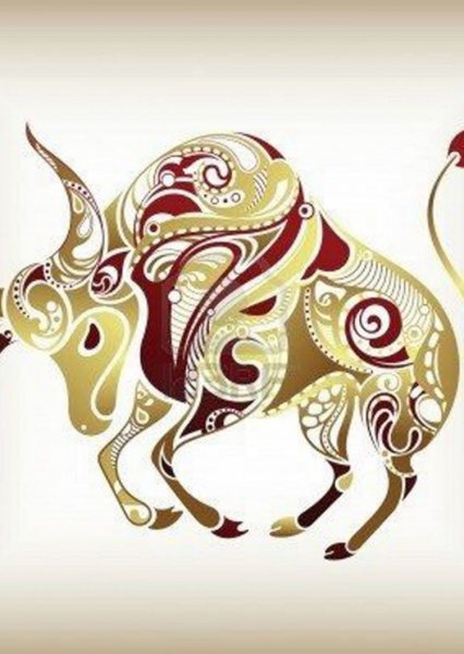 Телец рисунок