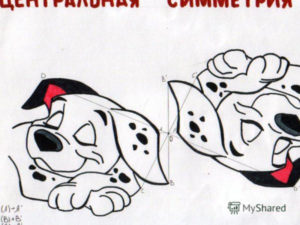 Центральная симметрия р