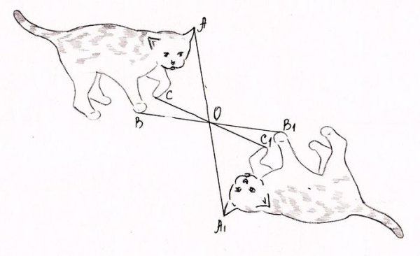 Симметрия относительно точки Центральная симметрия рисунок