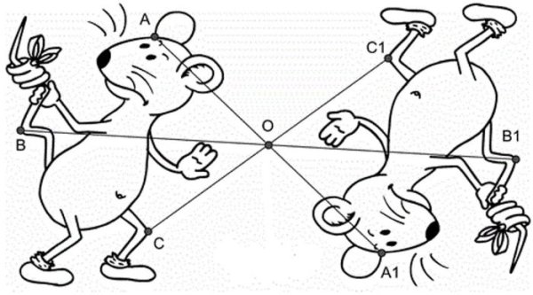 Рисунок на тему Центральная симметрия