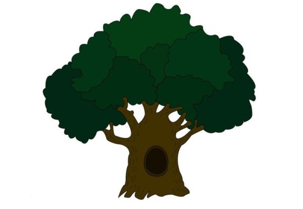 Дуб для детей