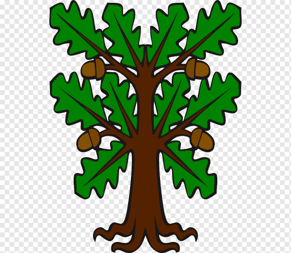 Изображение дуба