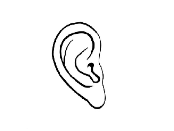 Поэтапное рисование ушей