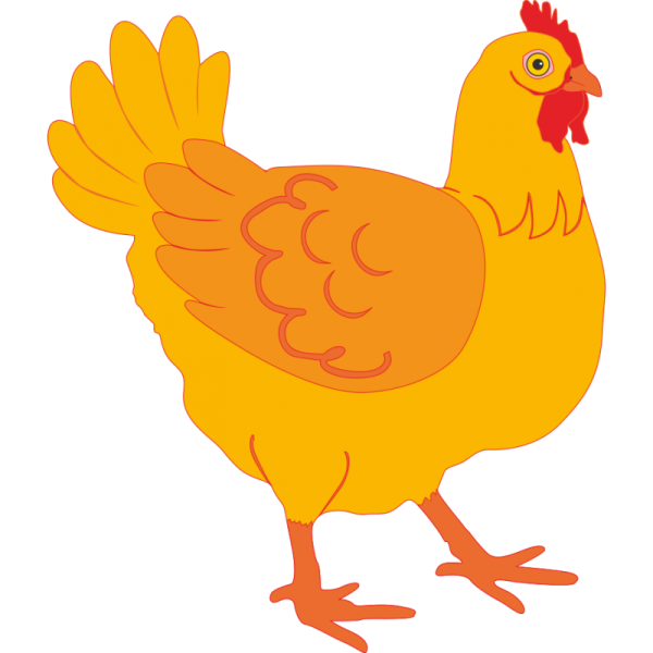 Курица рисунок