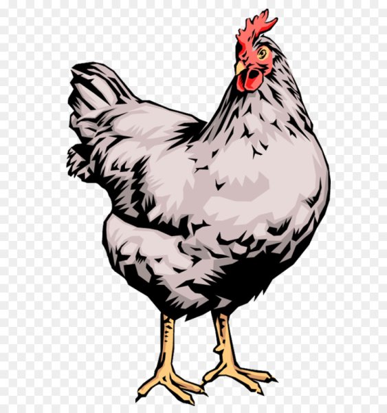 Куры мультяшные