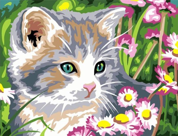 Раскраски по номерам сложные