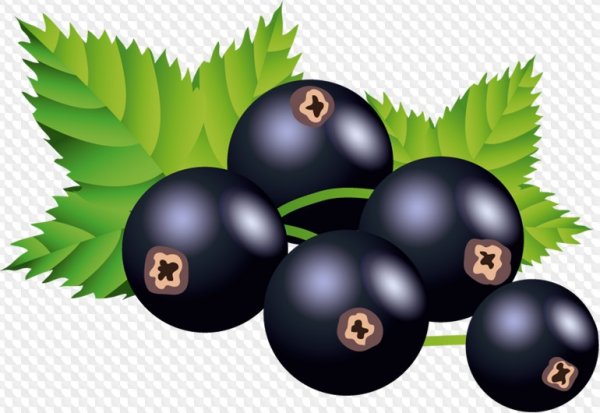 Этикеткаячерная смородина