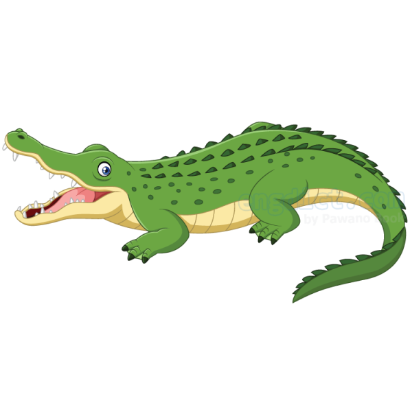 Крокодил сбоку