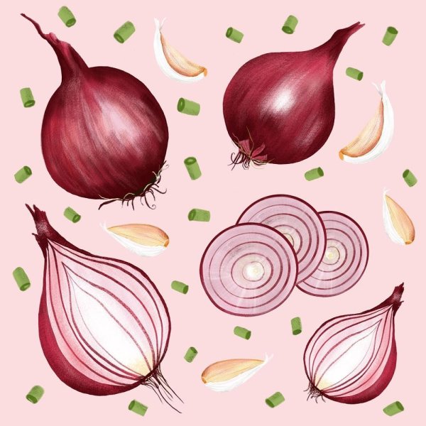 Лук репчатый для рисования