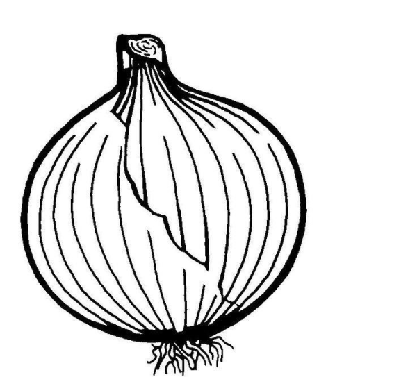 Лук раскраска для детей