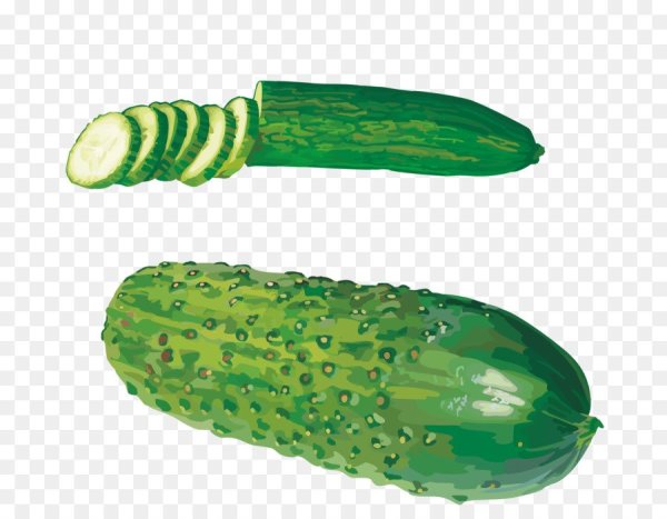 Нарисовать огурец