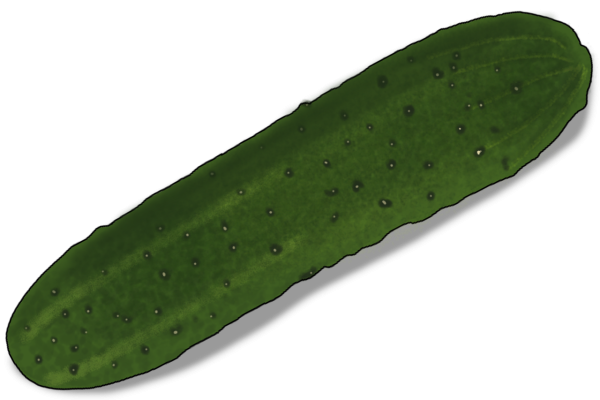 Огурец без фона