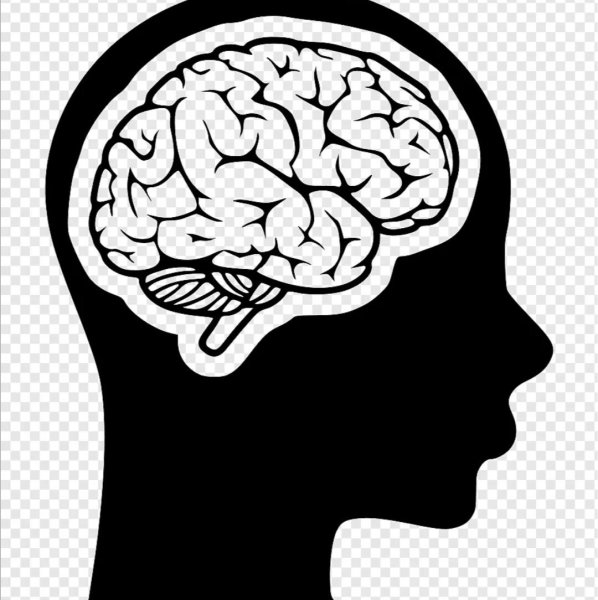 Веселый мозг