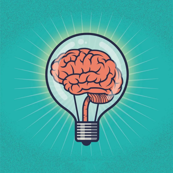 Мозг очертания